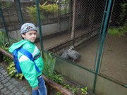 Výlet do ZOO Chleby a Labyrintária Loučeň